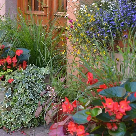 Ξενοδοχείο Le Saint Nicolas 3*