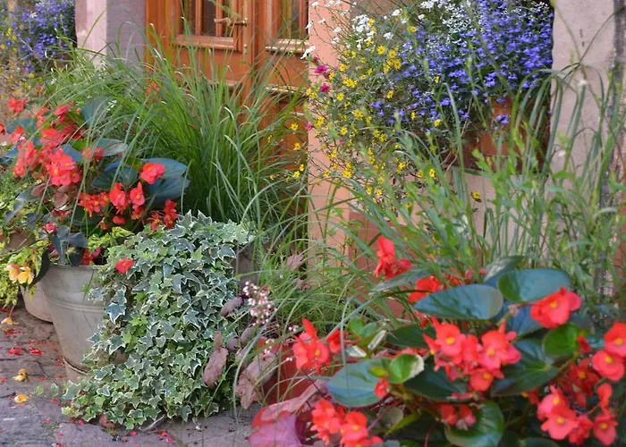 Hotel Le Saint Nicolas 3*